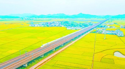 �h��ʮ�Ō�����ȫ����ȫ���ԡ��vʷ�����x