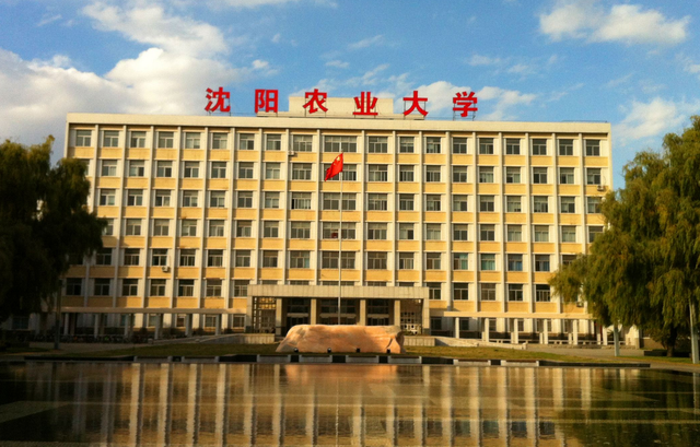 1608004356569226.png 2.png